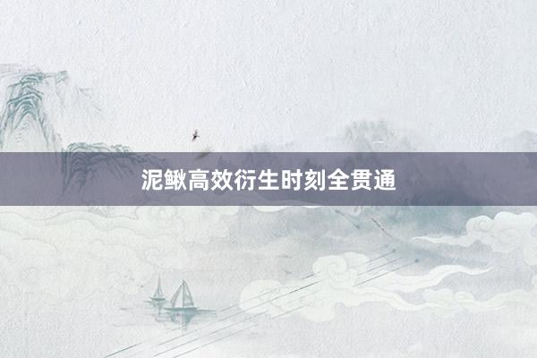 泥鳅高效衍生时刻全贯通