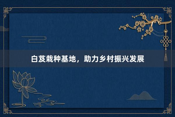 白芨栽种基地，助力乡村振兴发展