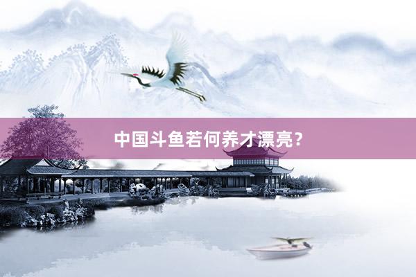中国斗鱼若何养才漂亮？