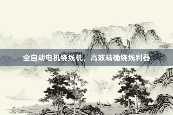 全自动电机绕线机，高效精确绕线利器