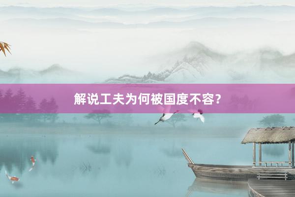 解说工夫为何被国度不容？
